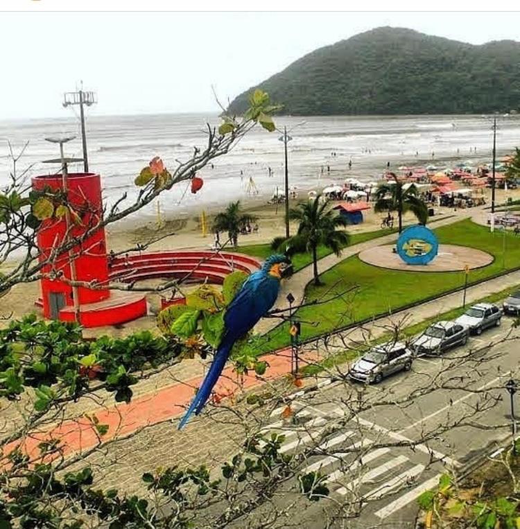 Suites Proximo Ao Rio Jaguareguava Em Bertioga Eksteriør bilde