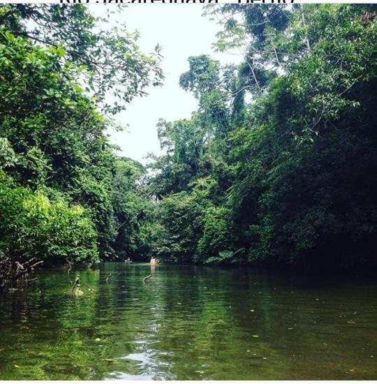 Suites Proximo Ao Rio Jaguareguava Em Bertioga Eksteriør bilde