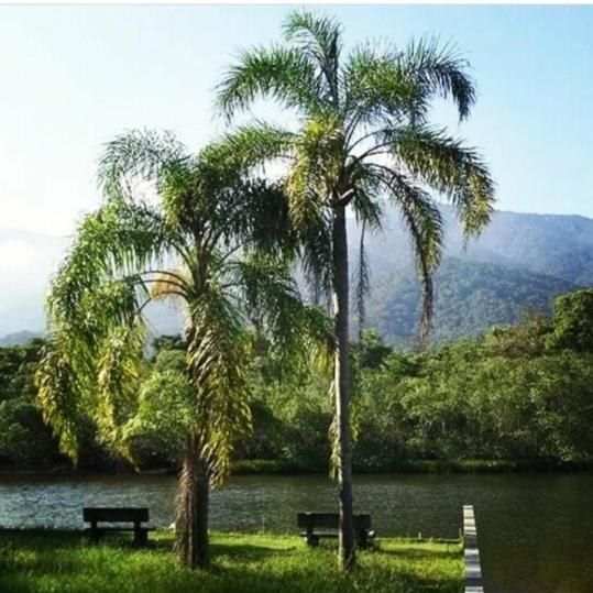 Suites Proximo Ao Rio Jaguareguava Em Bertioga Eksteriør bilde